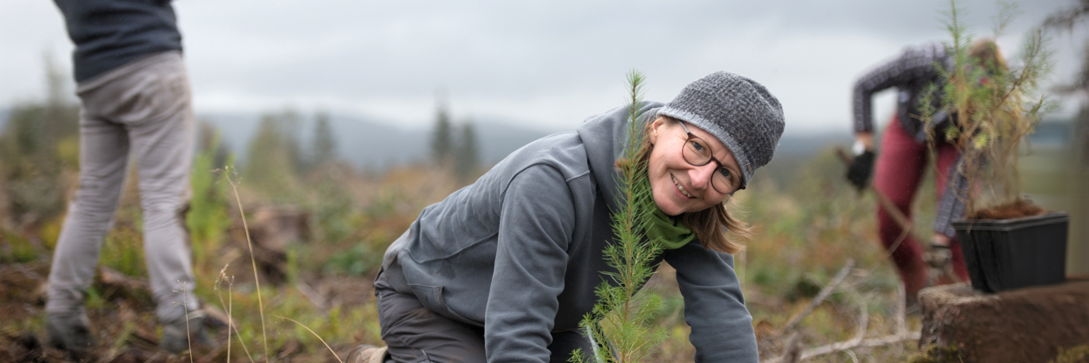 Uma mulher jovem, com uma sweatshirt cinzenta, calças cinzentas e gorro cinzento, está ajoelhada num campo, em frente a uma árvore recém-plantada e sorri para a câmara. Ao fundo, à direita, vemos uma pessoa de calças vermelhas que está a cavar um buraco para plantar uma árvore. Na margem esquerda, vemos a imagem cortada de alguém a segurar num telemóvel, prestes a tirar uma fotografia.